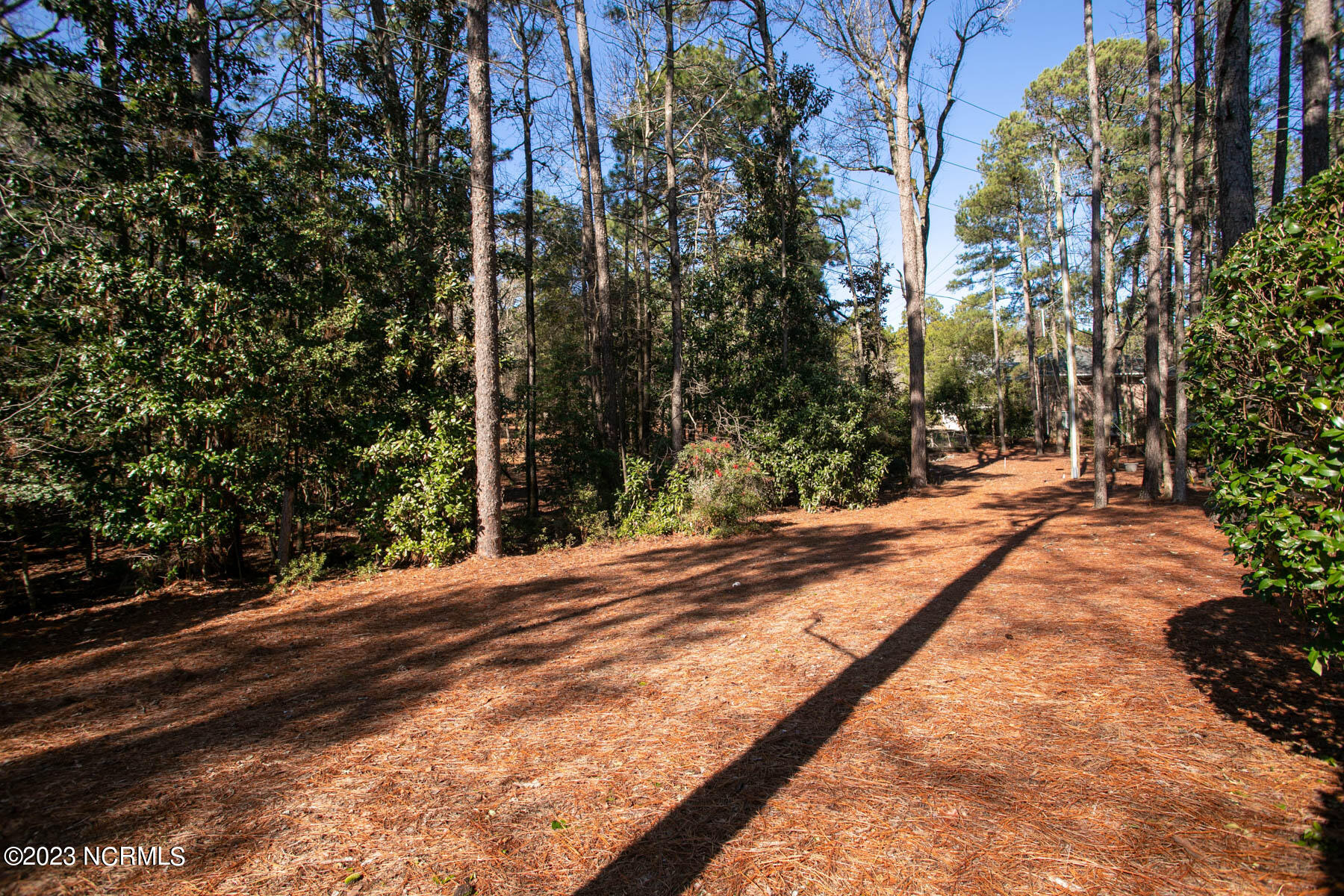 285 Merion Circle Pinehurst, NC 28374 - Photo 41 of 46 backyard2