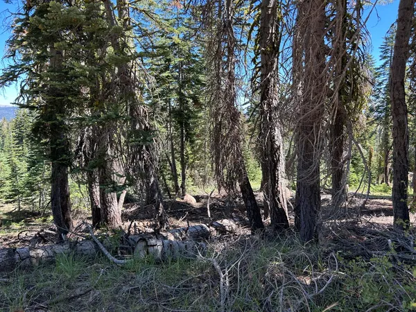 a view of a backyard of the house