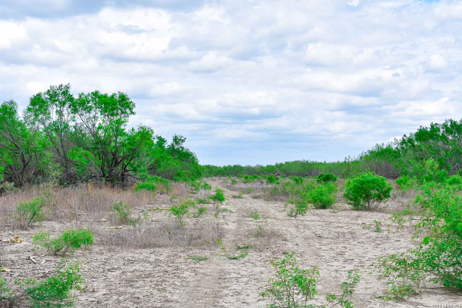 0 Koon Hill Road Fowlerton, TX 78021 - Photo 64 of 65
