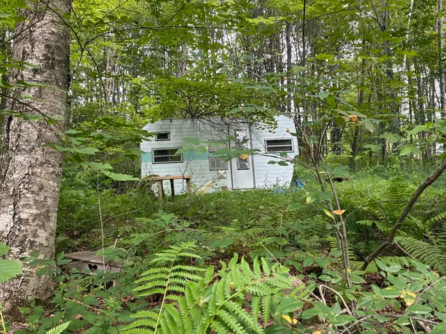 a backyard of a house with lots of green space and fountain