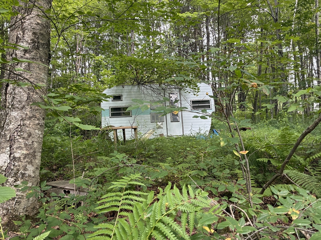 139 Taylor Brook Road Heath, MA 01346 - Photo 4 of 11 a backyard of a house with lots of green space and fountain