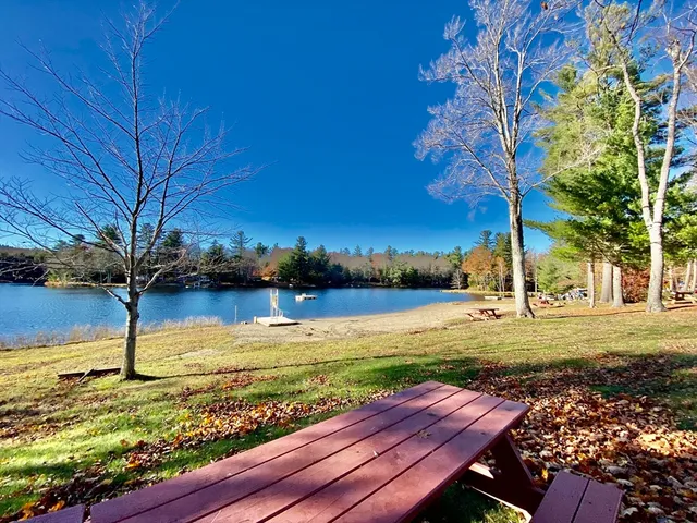 a view of a yard with an ocean