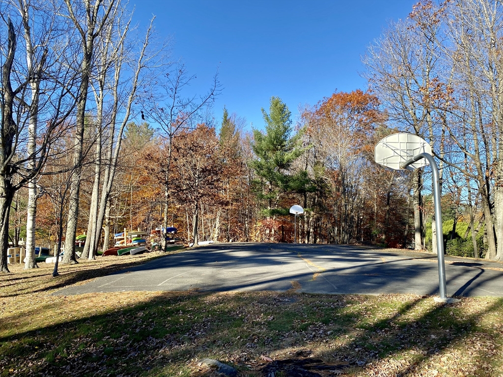 139 Taylor Brook Road Heath, MA 01346 - Photo 9 of 11 a view of a yard with flower plants