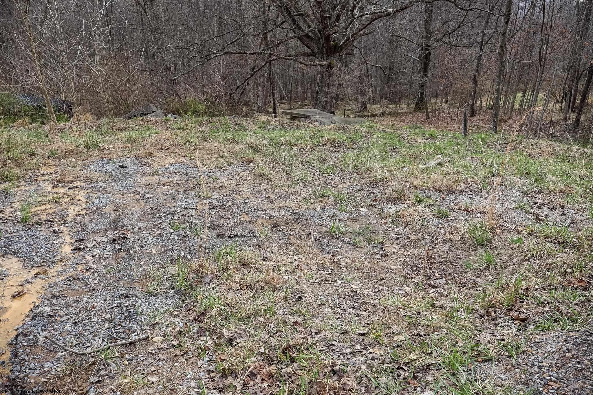 Tbd Mudlick Run Road Fairmont, WV 26554 - Photo 10 of 20 Gallery Image 10