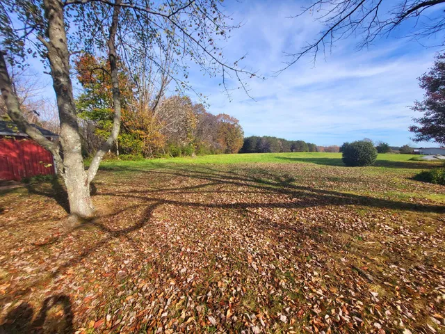 a view of a yard with an trees