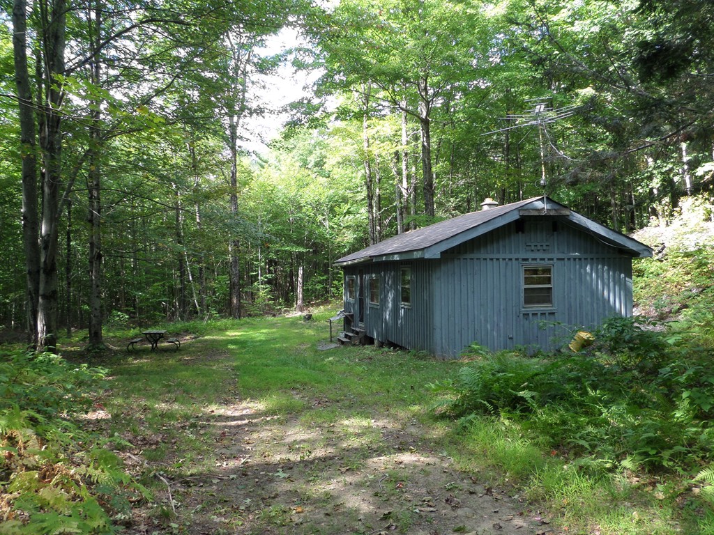 319 Harvey Road Worthington, MA 01098 - Photo 1 of 19 a view of a backyard with large trees and a barn