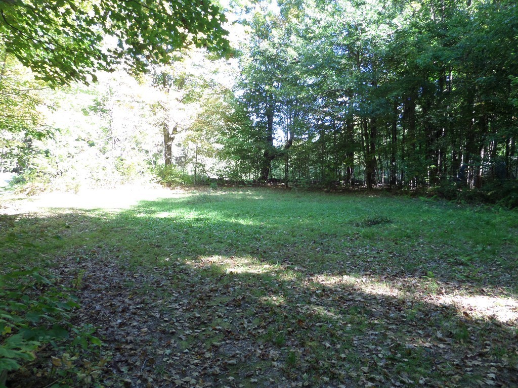 319 Harvey Road Worthington, MA 01098 - Photo 14 of 19 a view of a big yard with plants and large trees