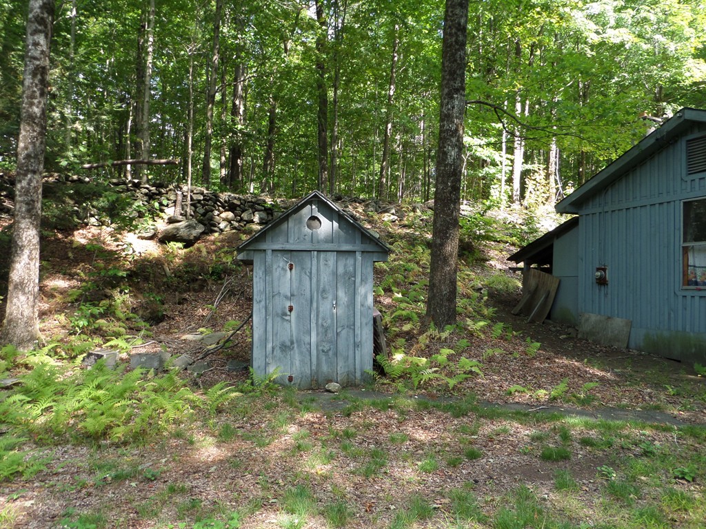 319 Harvey Road Worthington, MA 01098 - Photo 3 of 19 a backyard of a house with lots of green space
