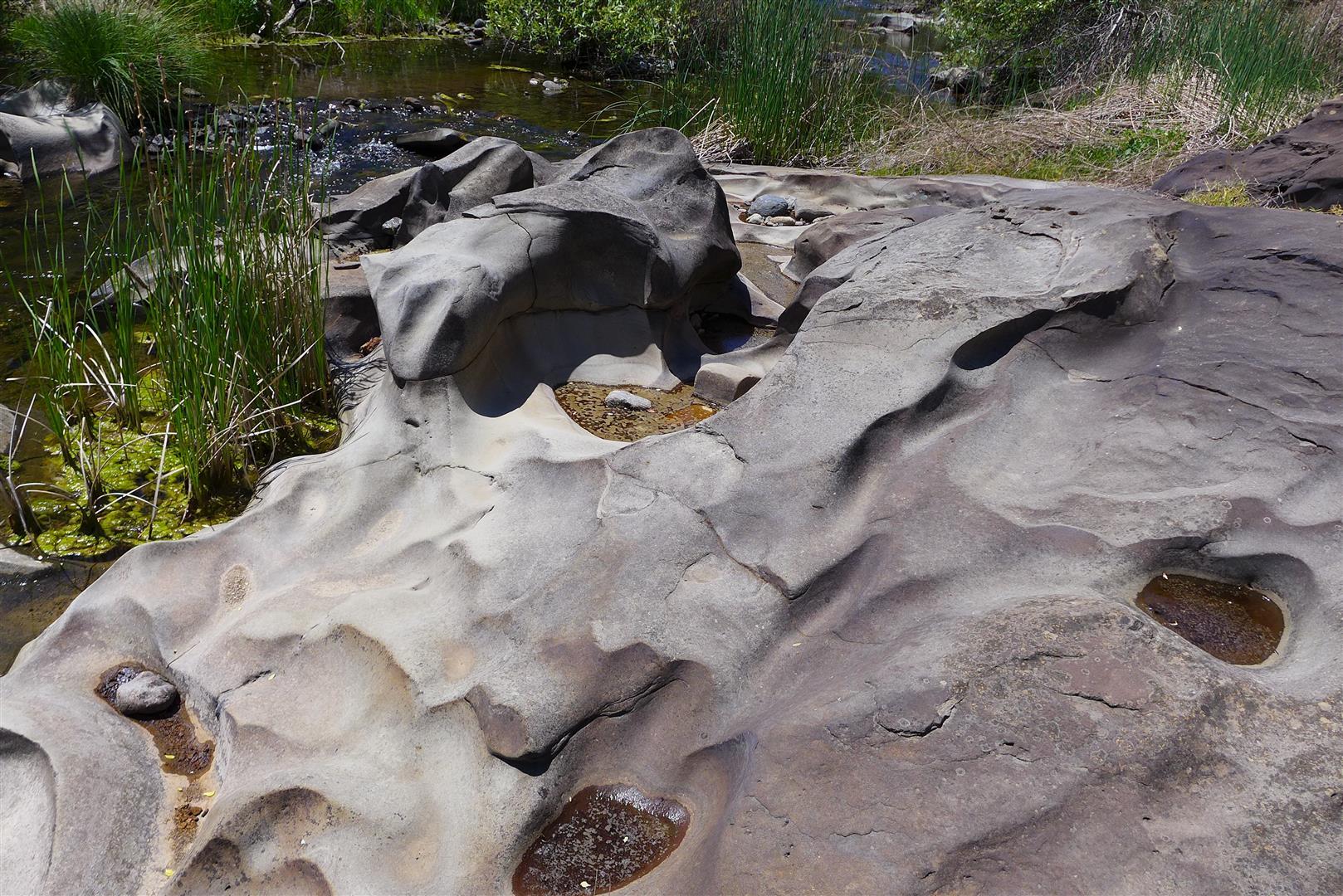 Lot 229 Yolla Bolly Road Igo, CA 96047 - Photo 57 of 66 P1060689