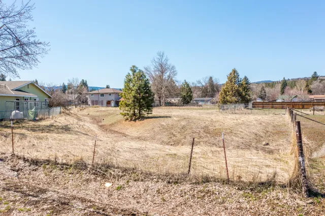 a view of yard with trees