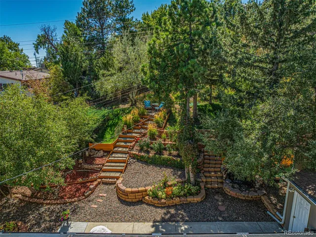 a view of a garden with plants