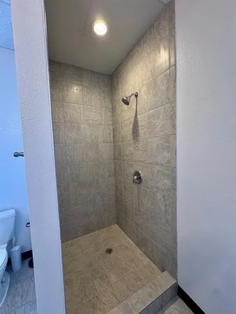 a bathroom with a shower and a toilet