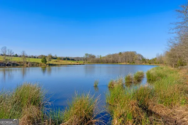 a view of a lake with houses in the background