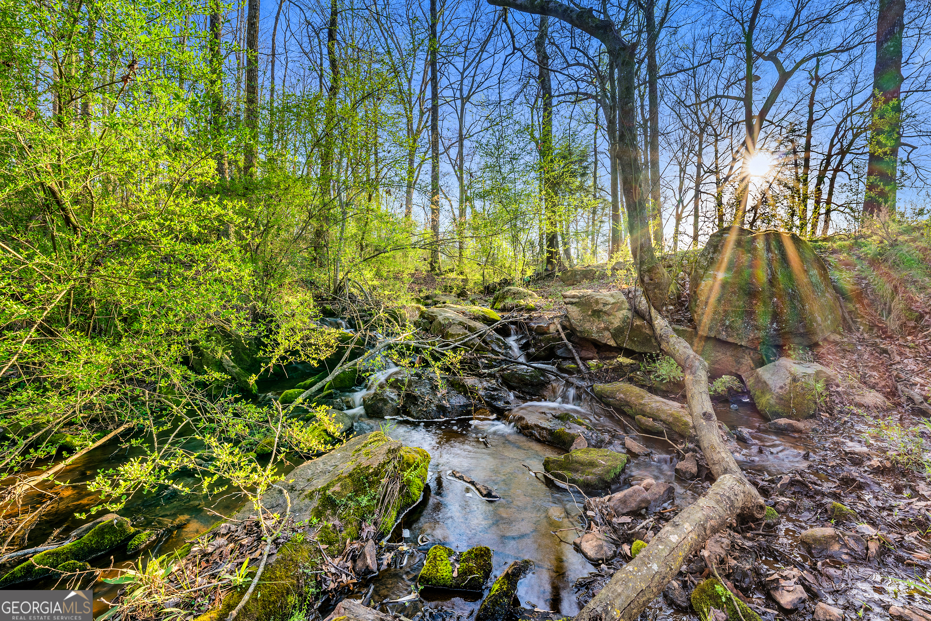 8 Legacy View Hartwell, GA 30643 - Photo 16 of 21 a backyard of a house with lots of green space