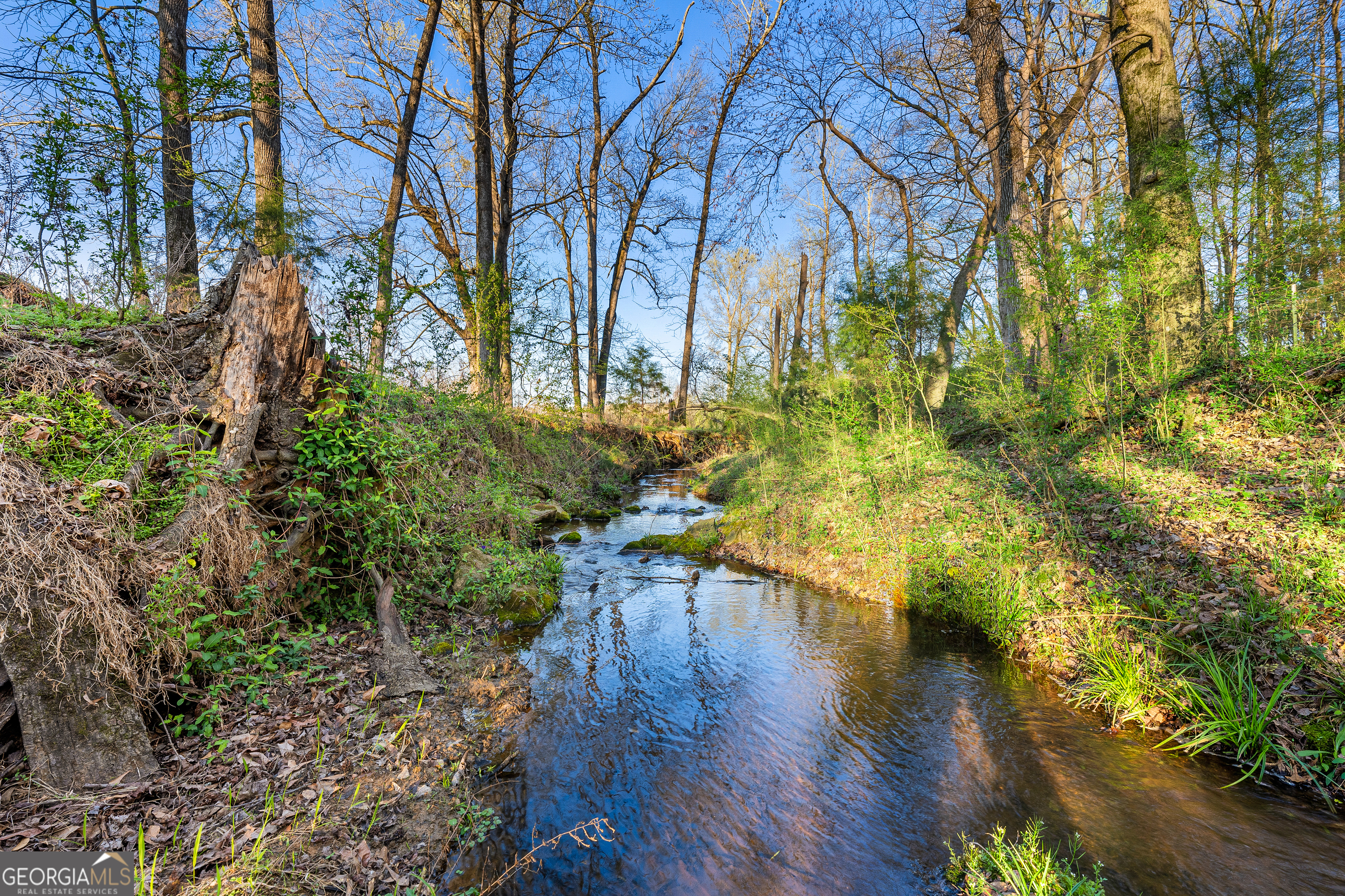 8 Legacy View Hartwell, GA 30643 - Photo 17 of 21 a view of yard from a hallway