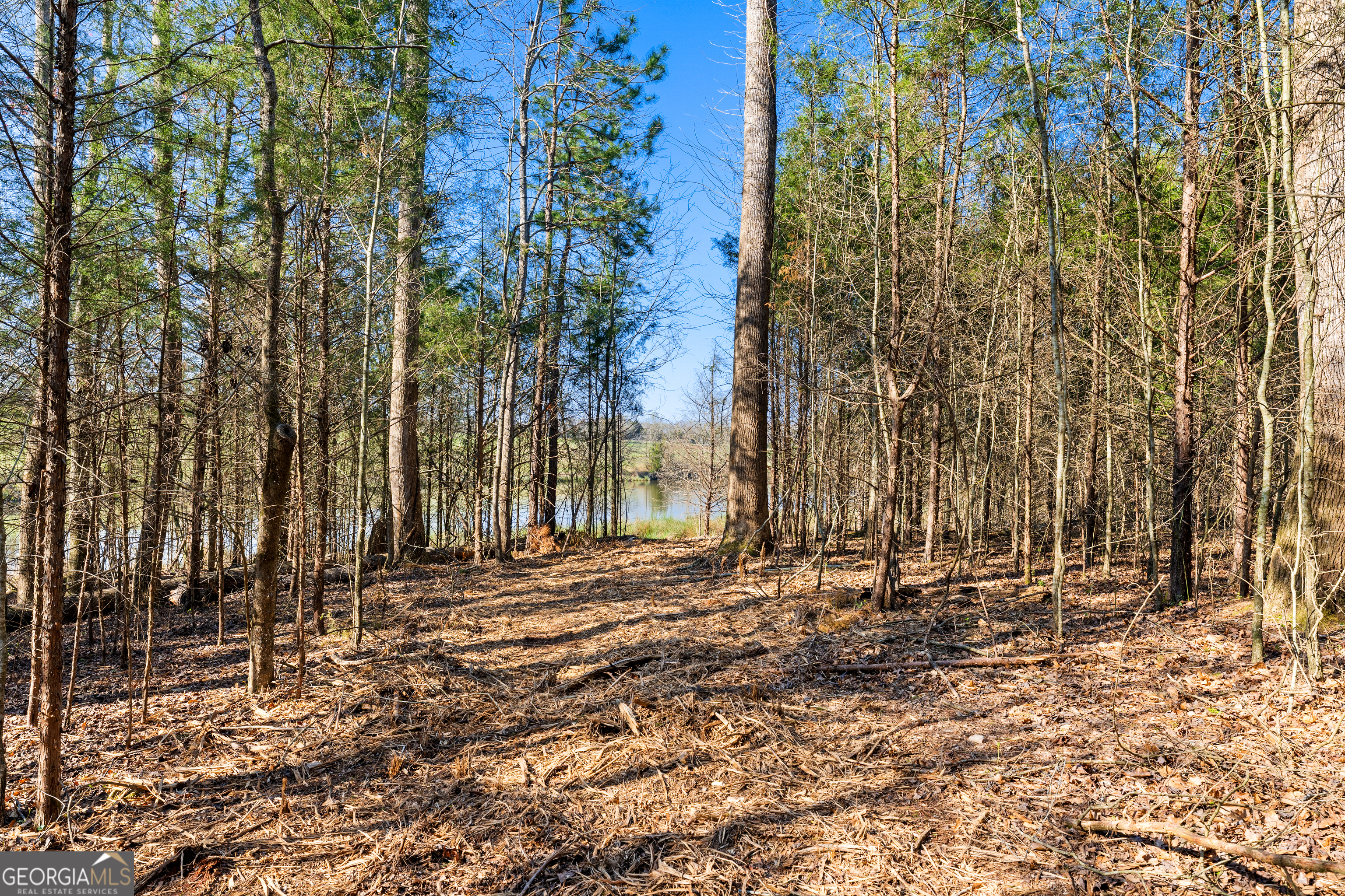 8 Legacy View Hartwell, GA 30643 - Photo 4 of 21 a view of outdoor space with trees