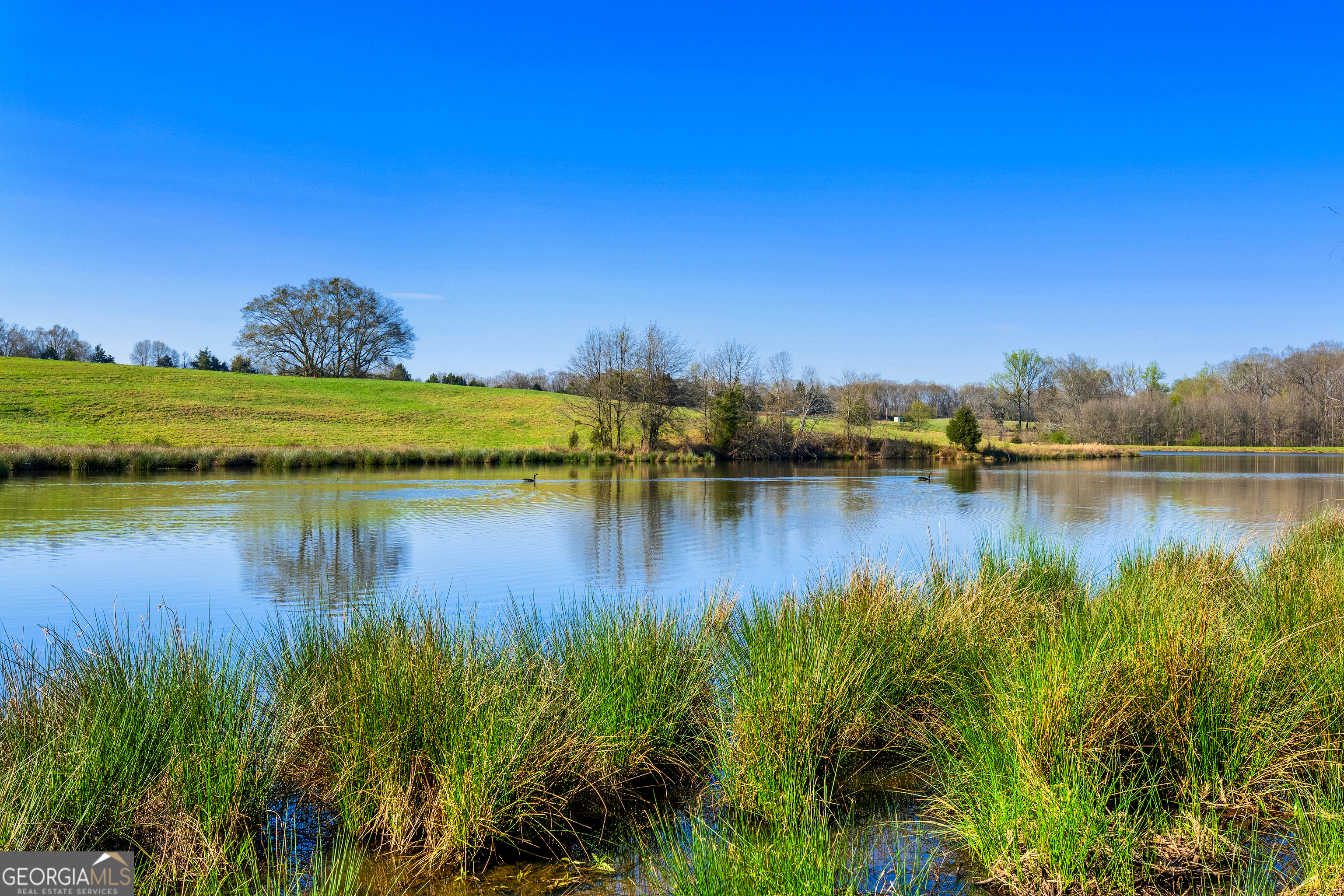 8 Legacy View Hartwell, GA 30643 - Photo 5 of 21 a view of lake with green space