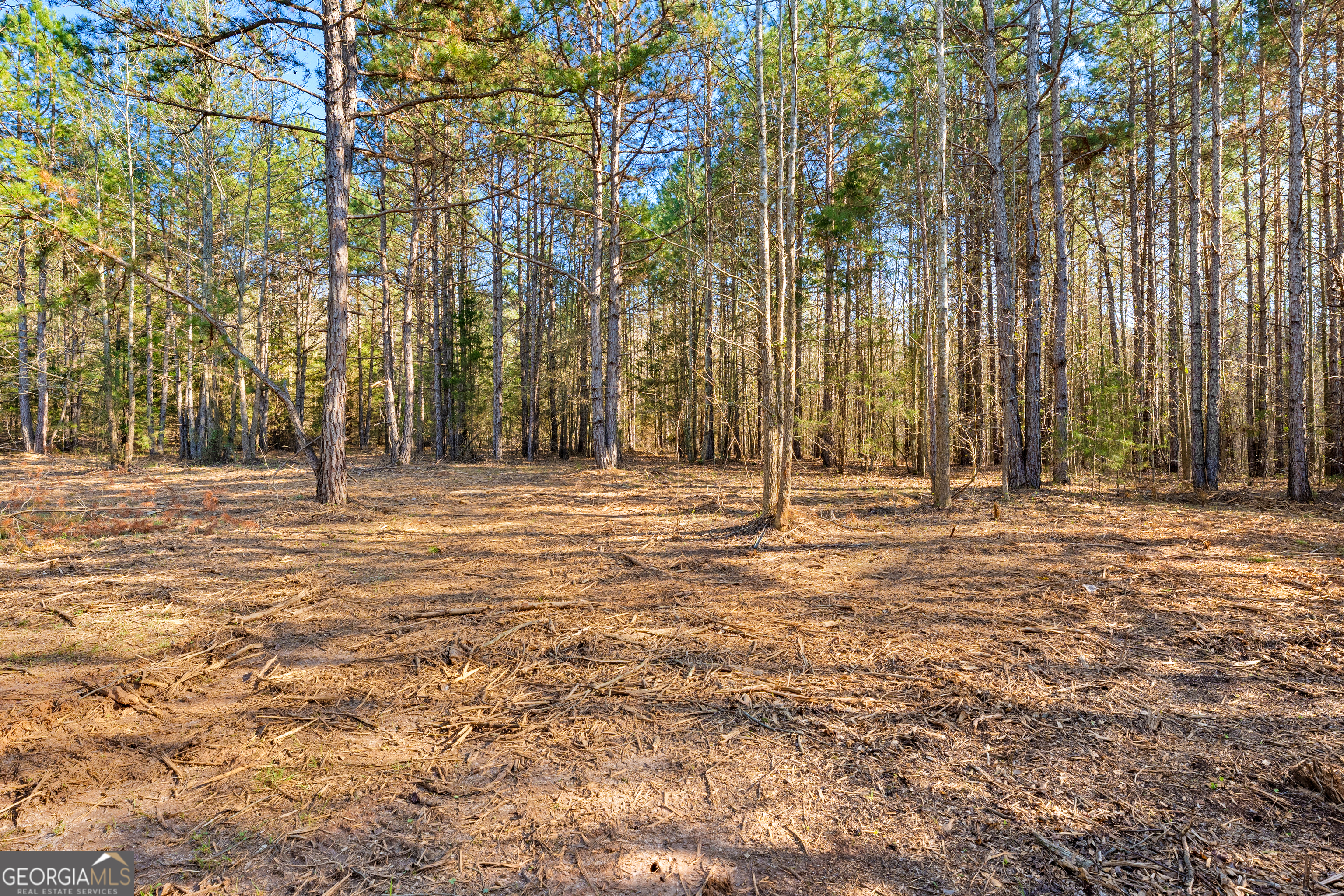 8 Legacy View Hartwell, GA 30643 - Photo 6 of 21 a view of outdoor space with deck and trees