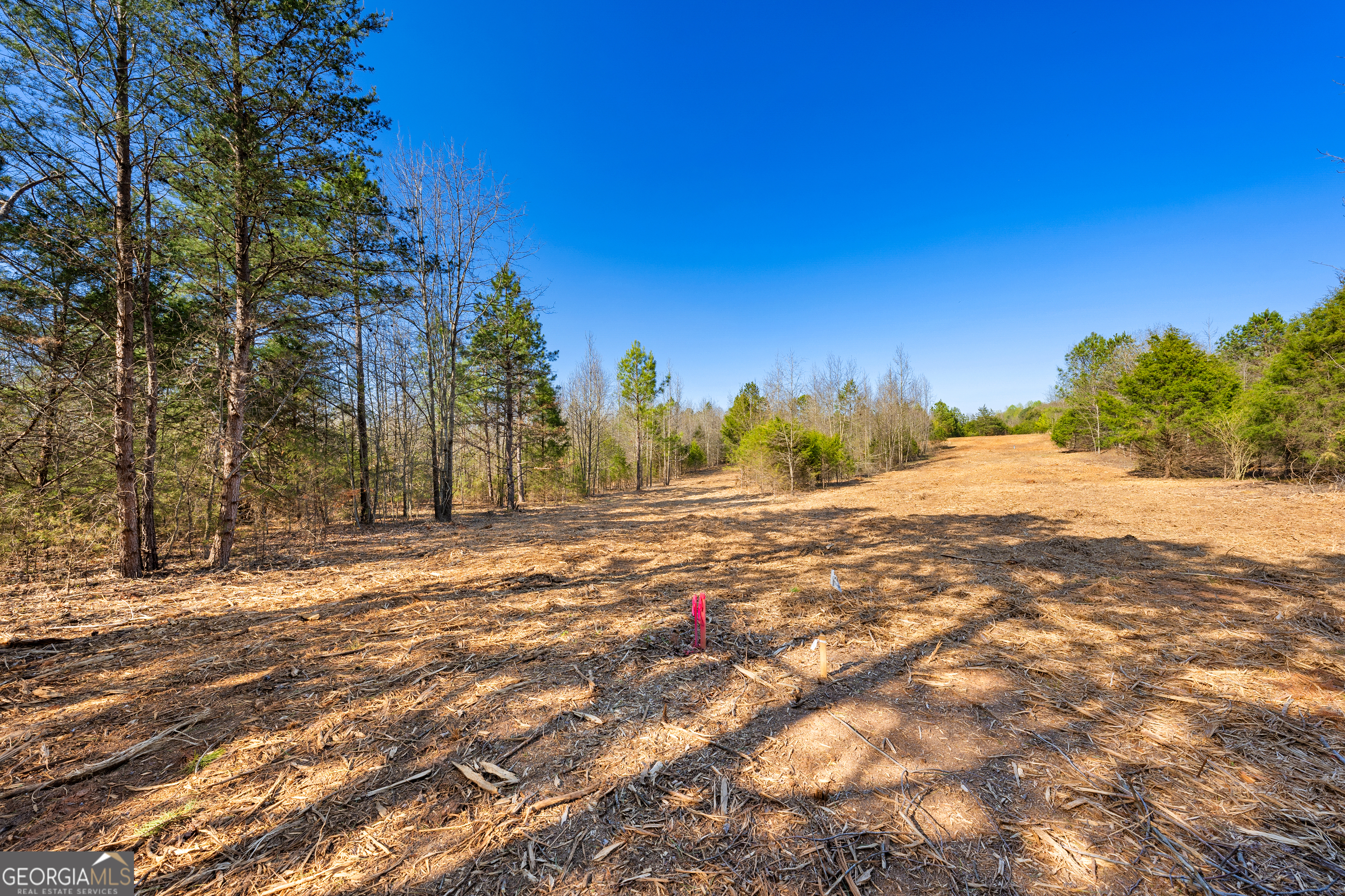 8 Legacy View Hartwell, GA 30643 - Photo 8 of 21 a view of road view with large trees