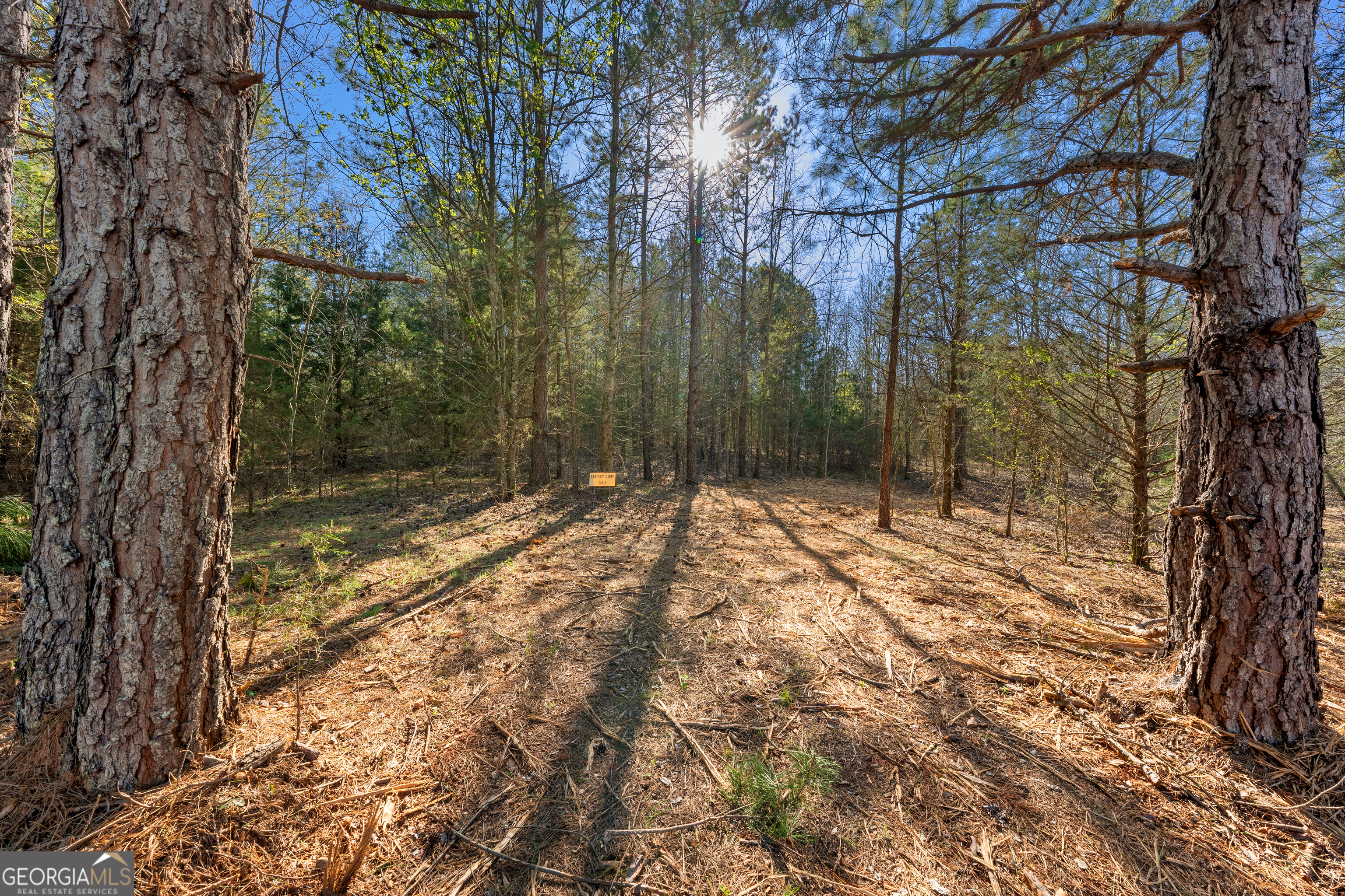 8 Legacy View Hartwell, GA 30643 - Photo 9 of 21 a view of backyard with green space