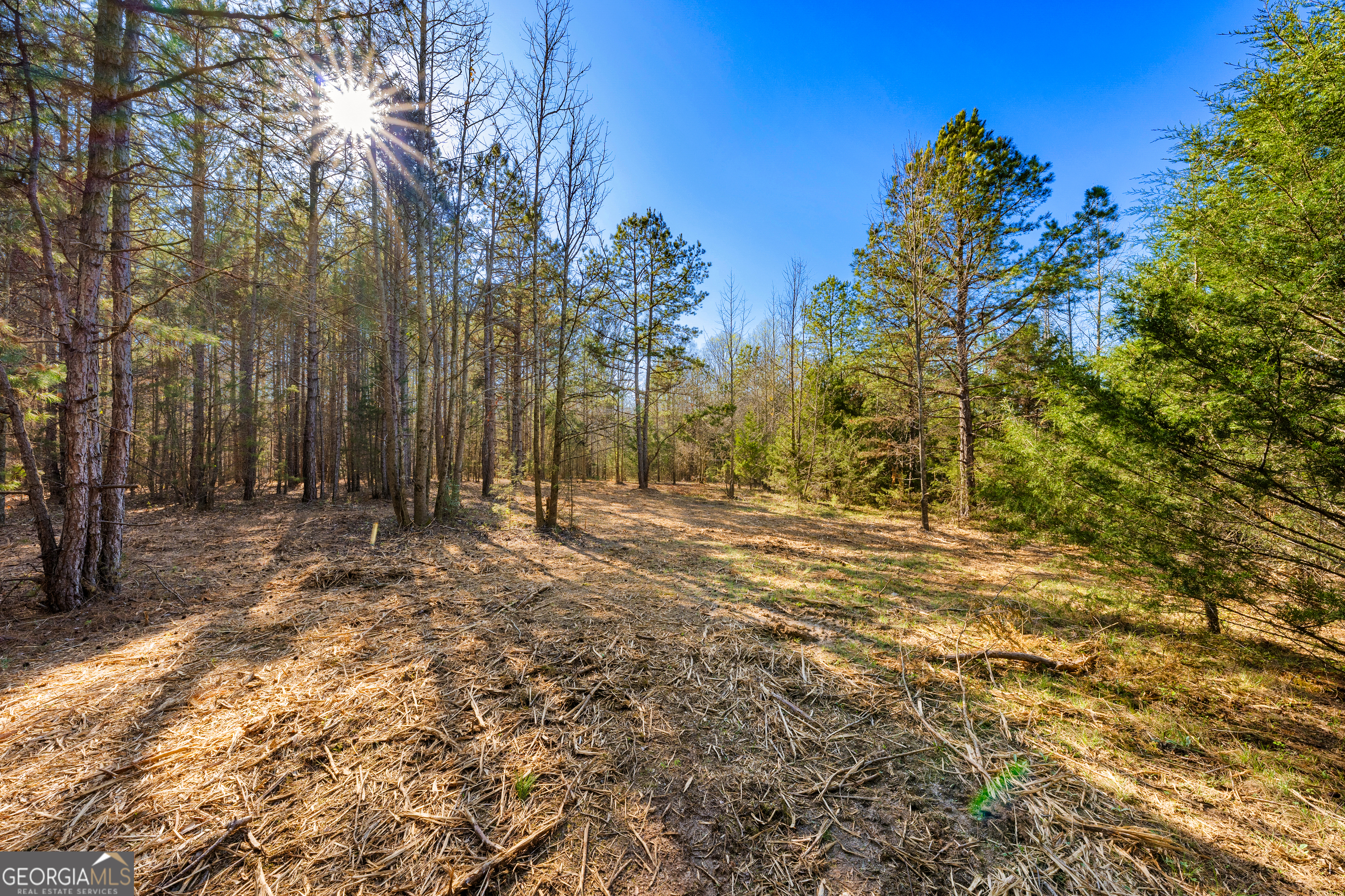 8 Legacy View Hartwell, GA 30643 - Photo 10 of 21 a view of a yard with trees