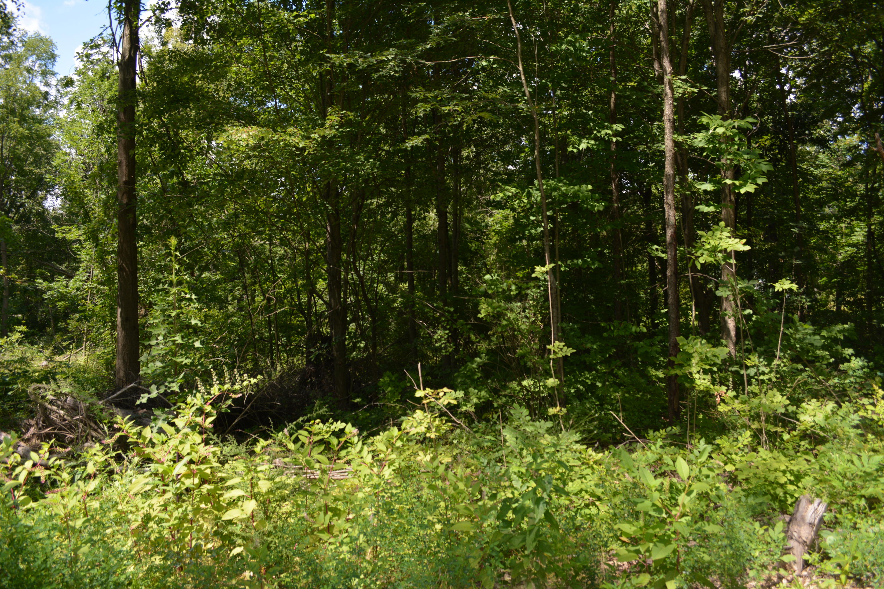 5117 Meridian Road Leslie, MI 49251 - Photo 3 of 8 32
