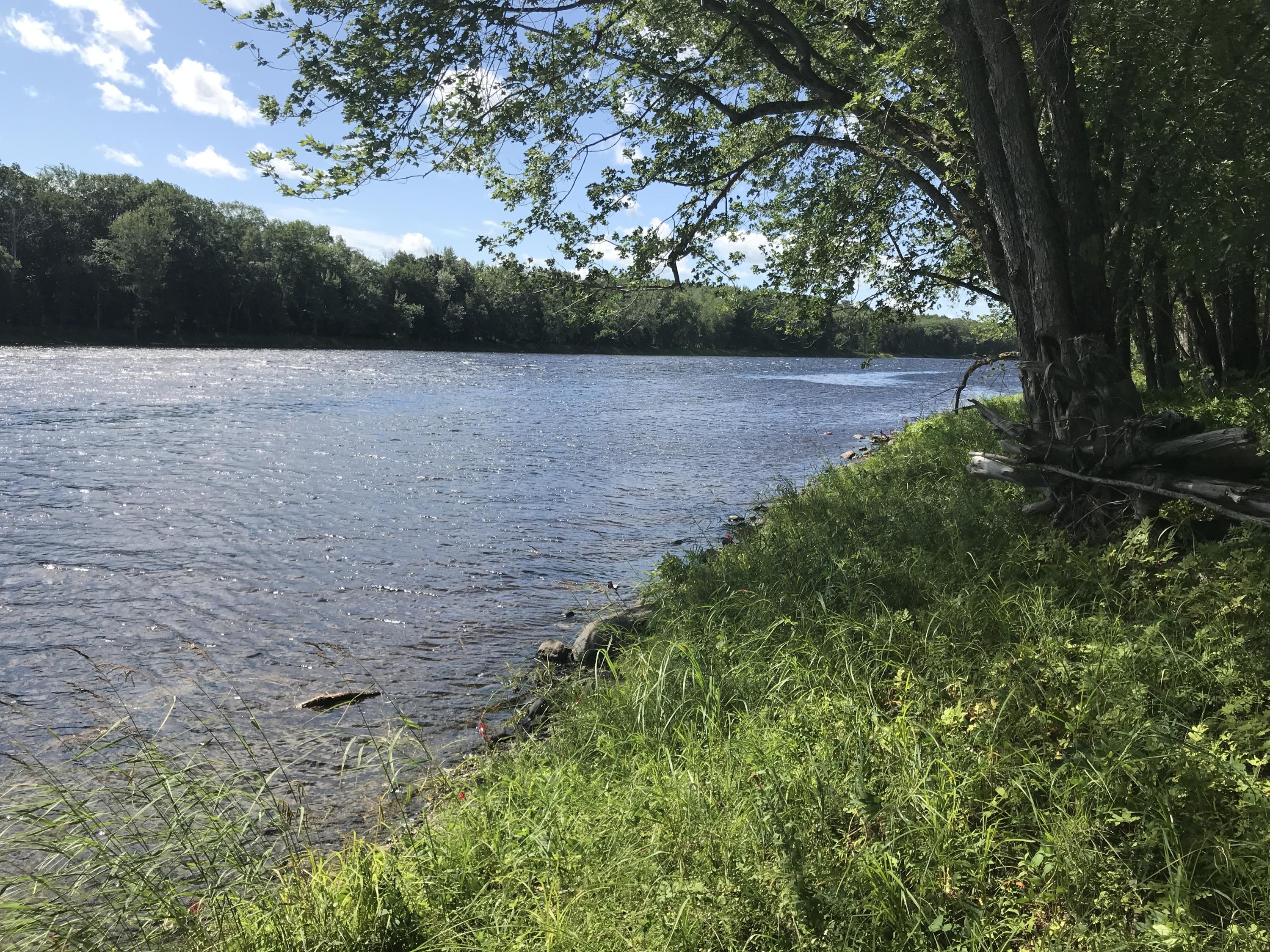 Lot 4.2 Mattmiscontis Road Lincoln, ME 04457 - Photo 2 of 13 Photo Aug 05, 10 56 22 AM
