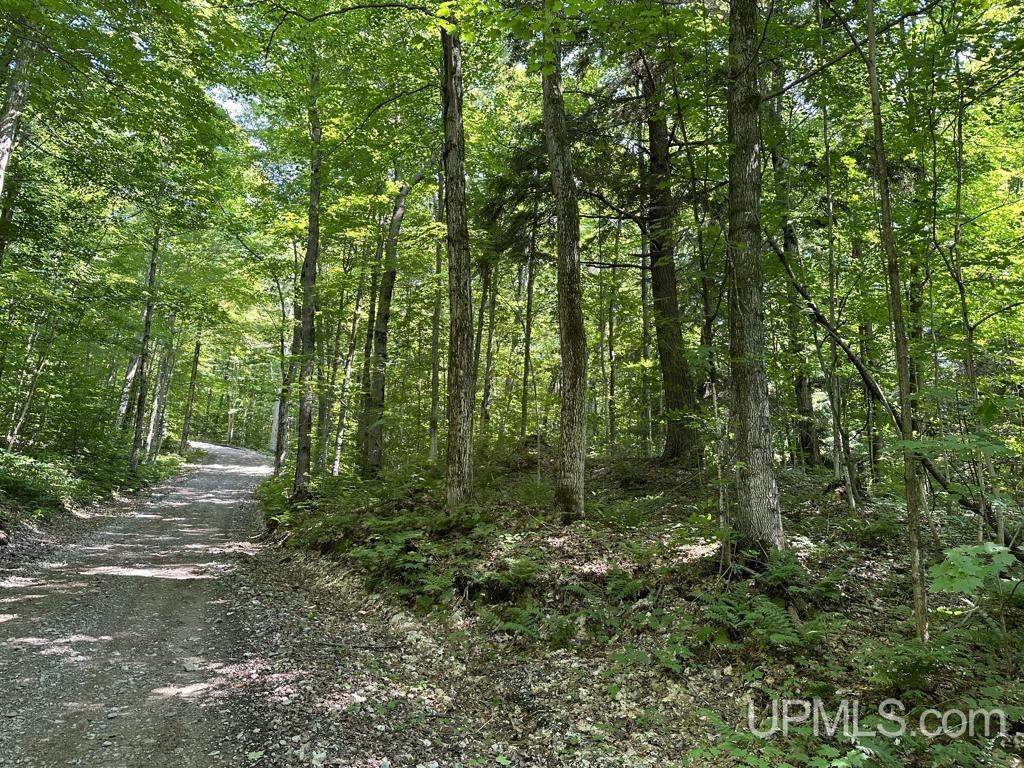 0 Cemetery Road Munising, MI 49862 - Photo 27 of 34 Gallery Image 27