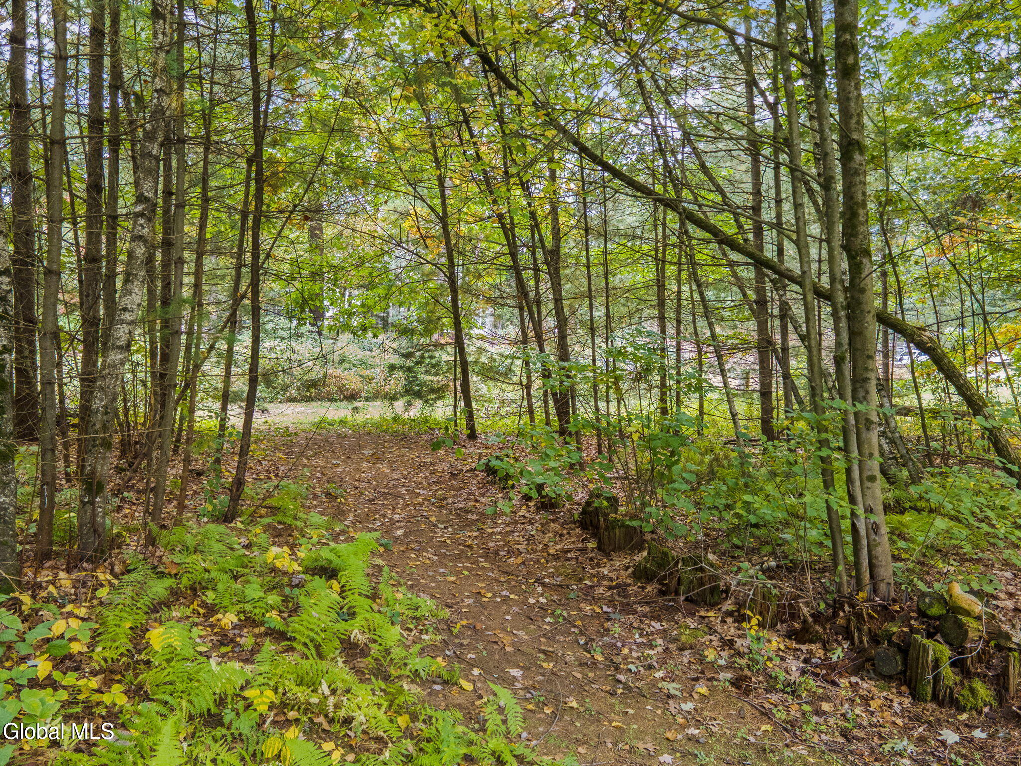 2 Huntington Court Saratoga Springs, NY 12866 - Photo 61 of 70 61-2HuntingtonCt_061