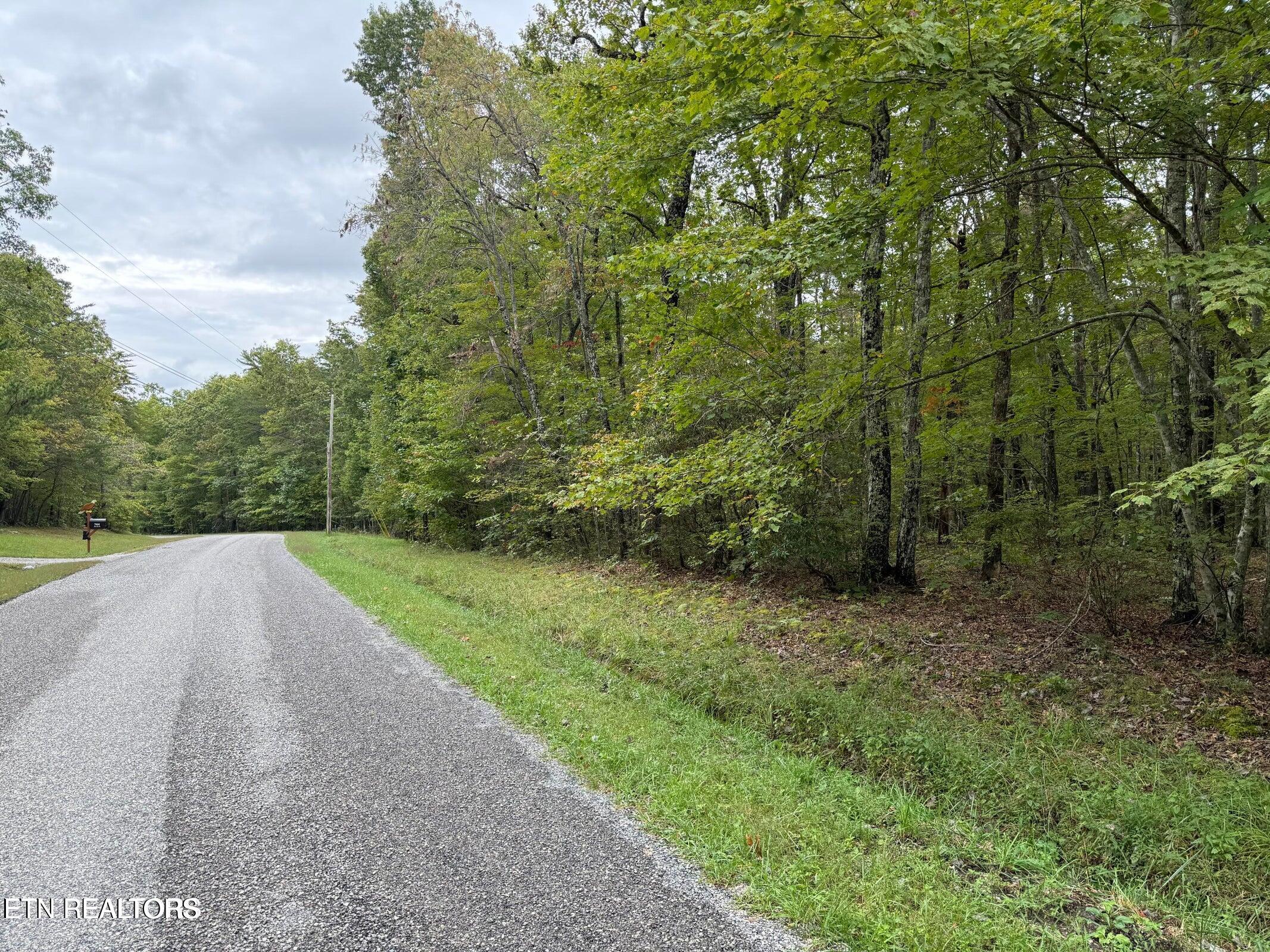 White Oak Road Monterey, TN 38574 - Photo 5 of 6 Street View 1