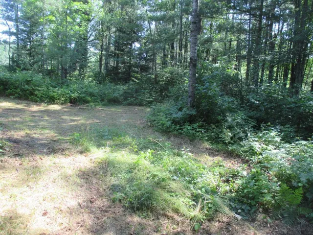 $64,500 | Lot 2 State Road, Couderay, WI 54828