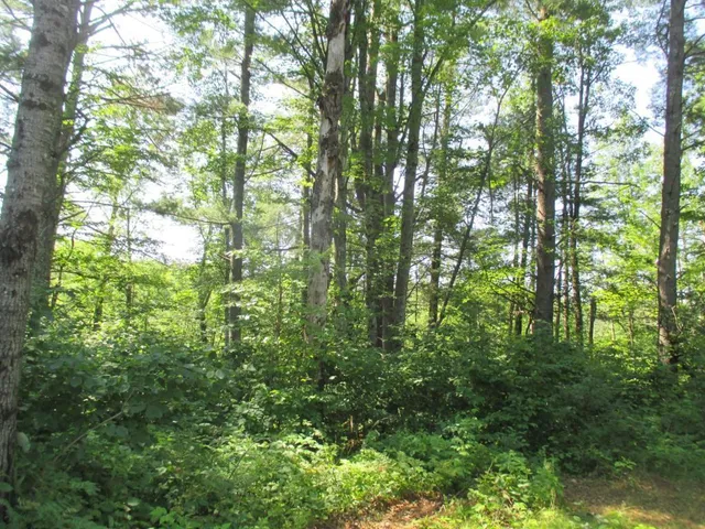 $64,500 | Lot 2 State Road, Couderay, WI 54828