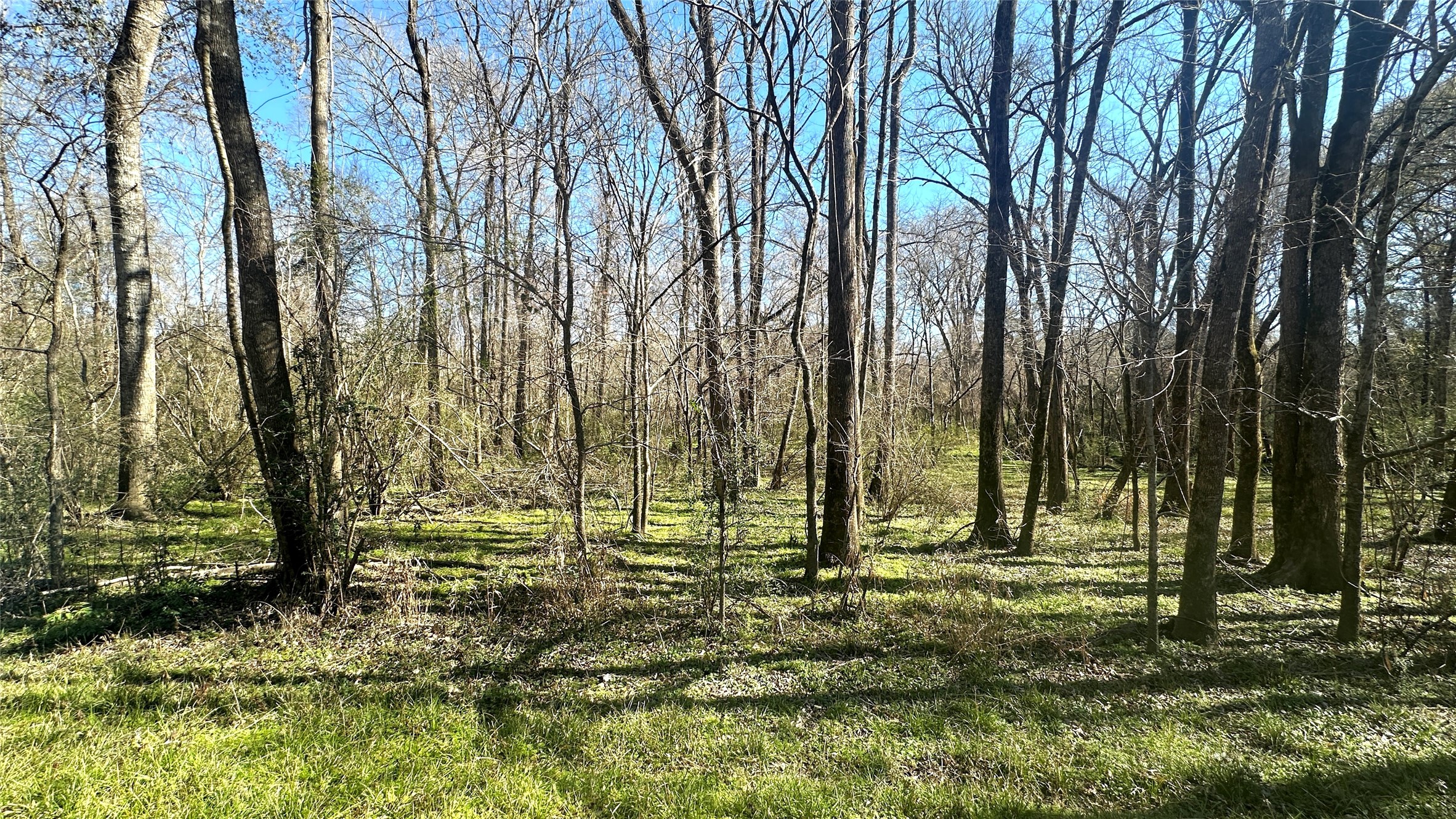 0 Royal Springs Road Dallas, TX 75229 - Photo 6 of 7