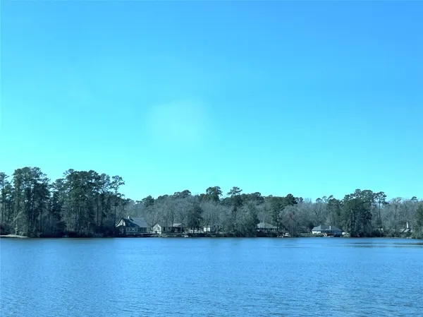 a view of a green field with trees in the background