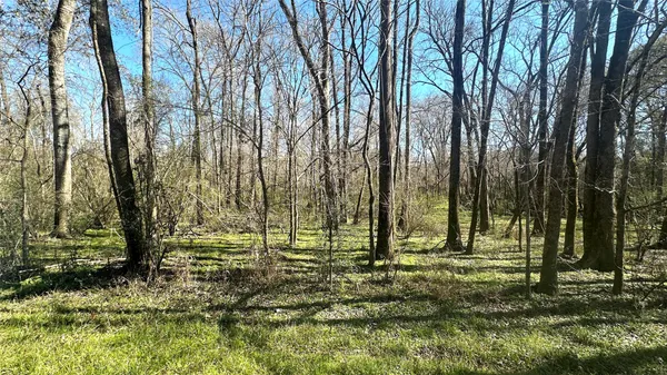 a view of park