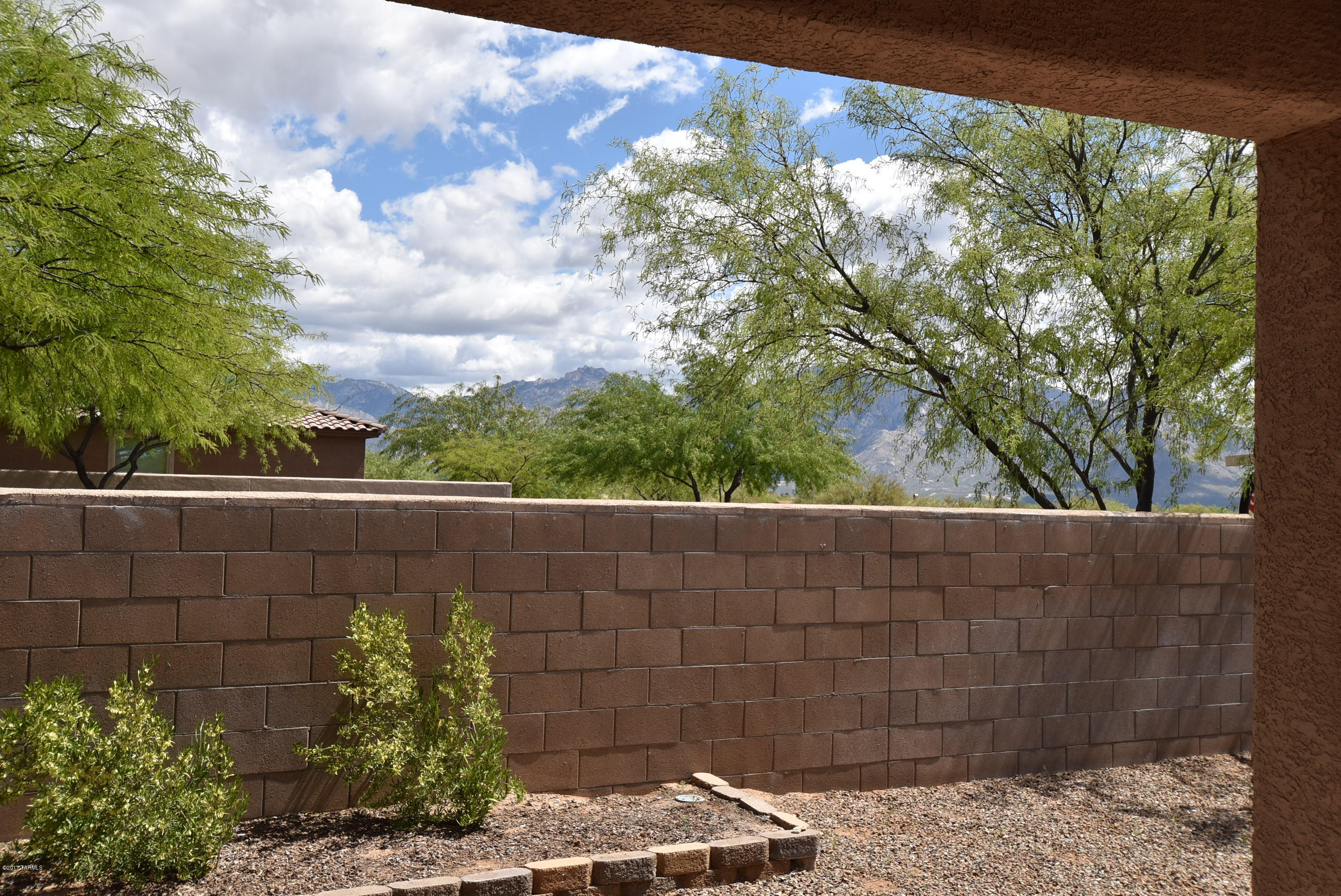 12823 Bloomington Loop Tucson, AZ 85755 - Photo 29 of 39