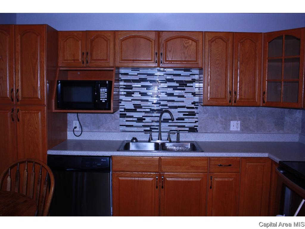 1304 North Rutledge Street Springfield, IL 62702 - Photo 3 of 24