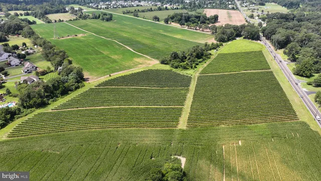 a view of a tennis court