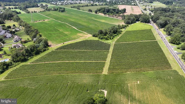 a view of a tennis court