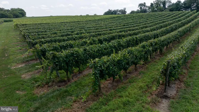 a view of a golf course with a park