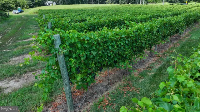 a view of a tennis court