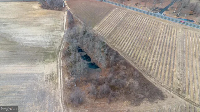 a view of a yard with trees in the background