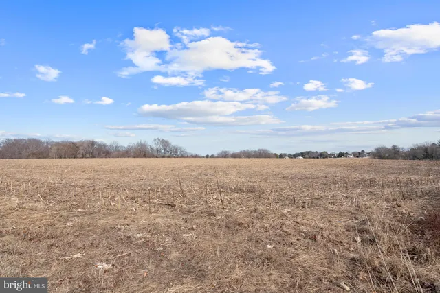 a view of dirt yard with a large tree