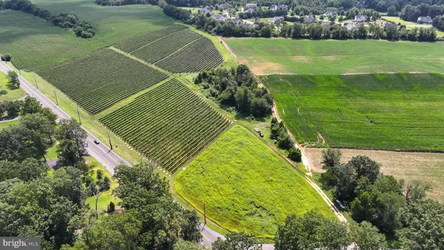 a view of a tennis court