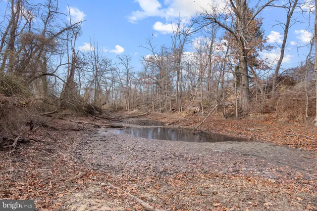 a view of a dry yard with wooden fence