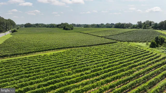 a view of a field with an ocean view