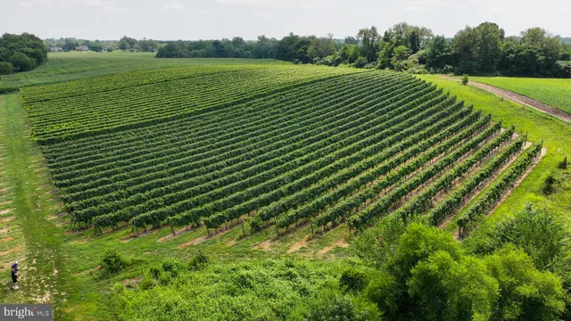 a view of an outdoor space and a yard