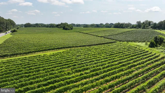 a view of a field with an ocean view