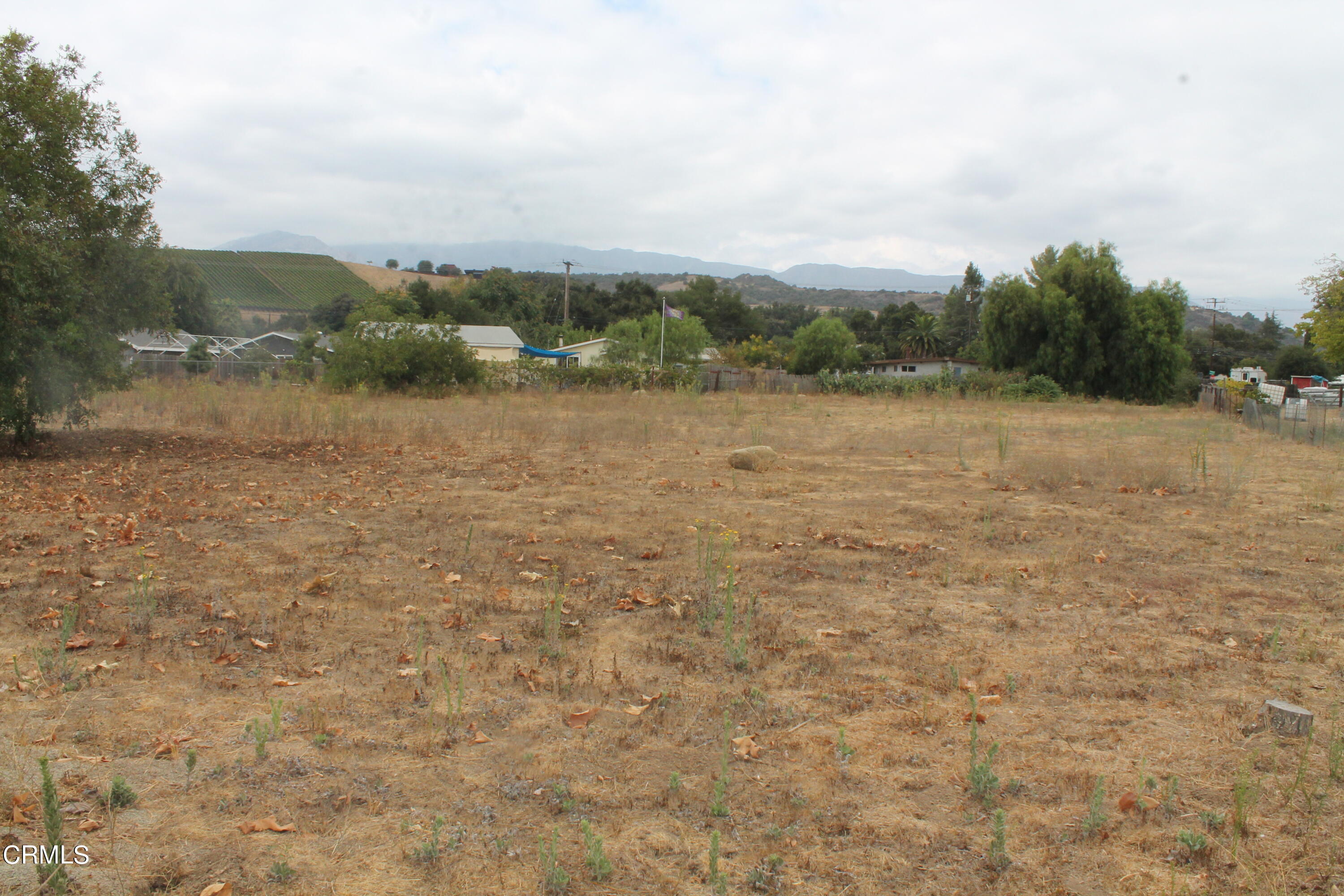 789 Santa Ana Boulevard Oak View, CA 93022 - Photo 3 of 6 IMG_8974