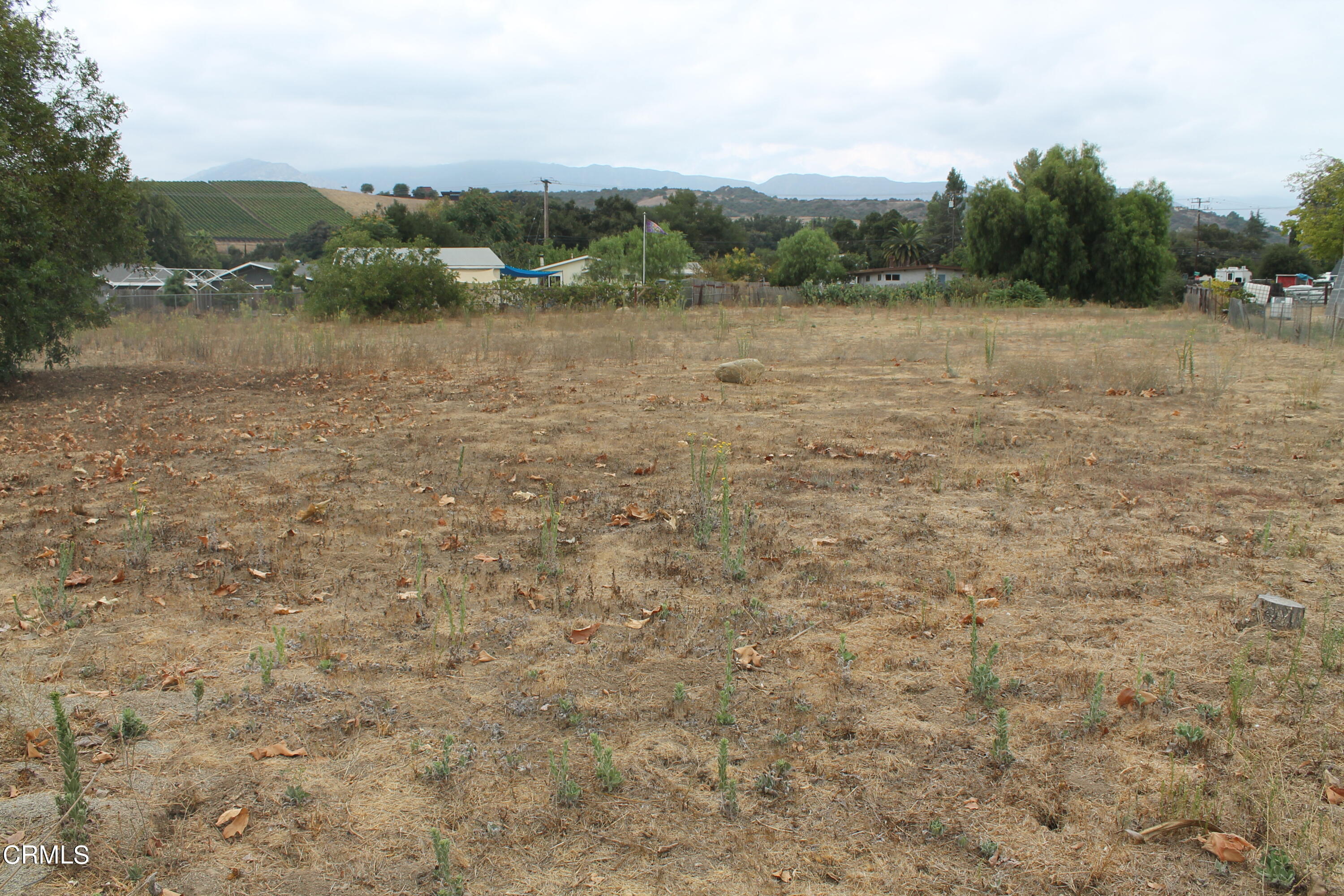 789 Santa Ana Boulevard Oak View, CA 93022 - Photo 4 of 6 IMG_8975